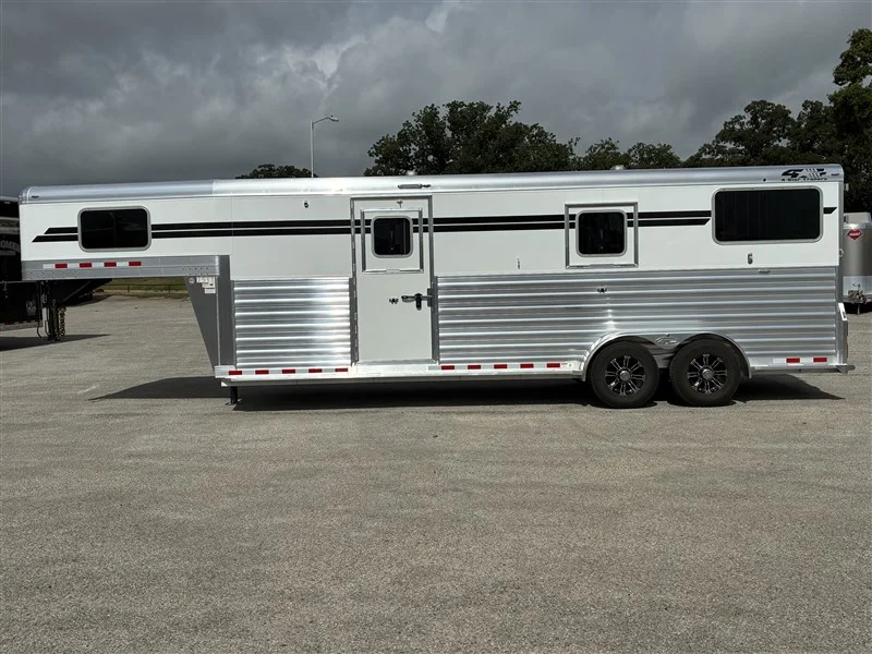 2026 4 Star 2026 4-Star 2+1 Warmblood GN - Image 9