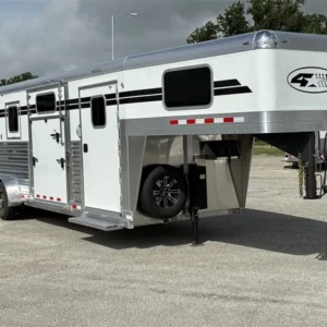 2026 4 Star 2026 4-Star 2+1 Warmblood GN