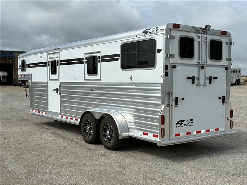 2026 4 Star 2026 4-Star 2+1 Warmblood GN - Image 6