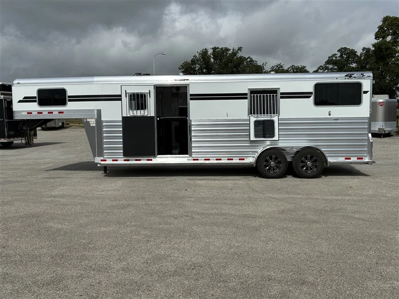 2026 4 Star 2026 4-Star 2+1 Warmblood GN - Image 7